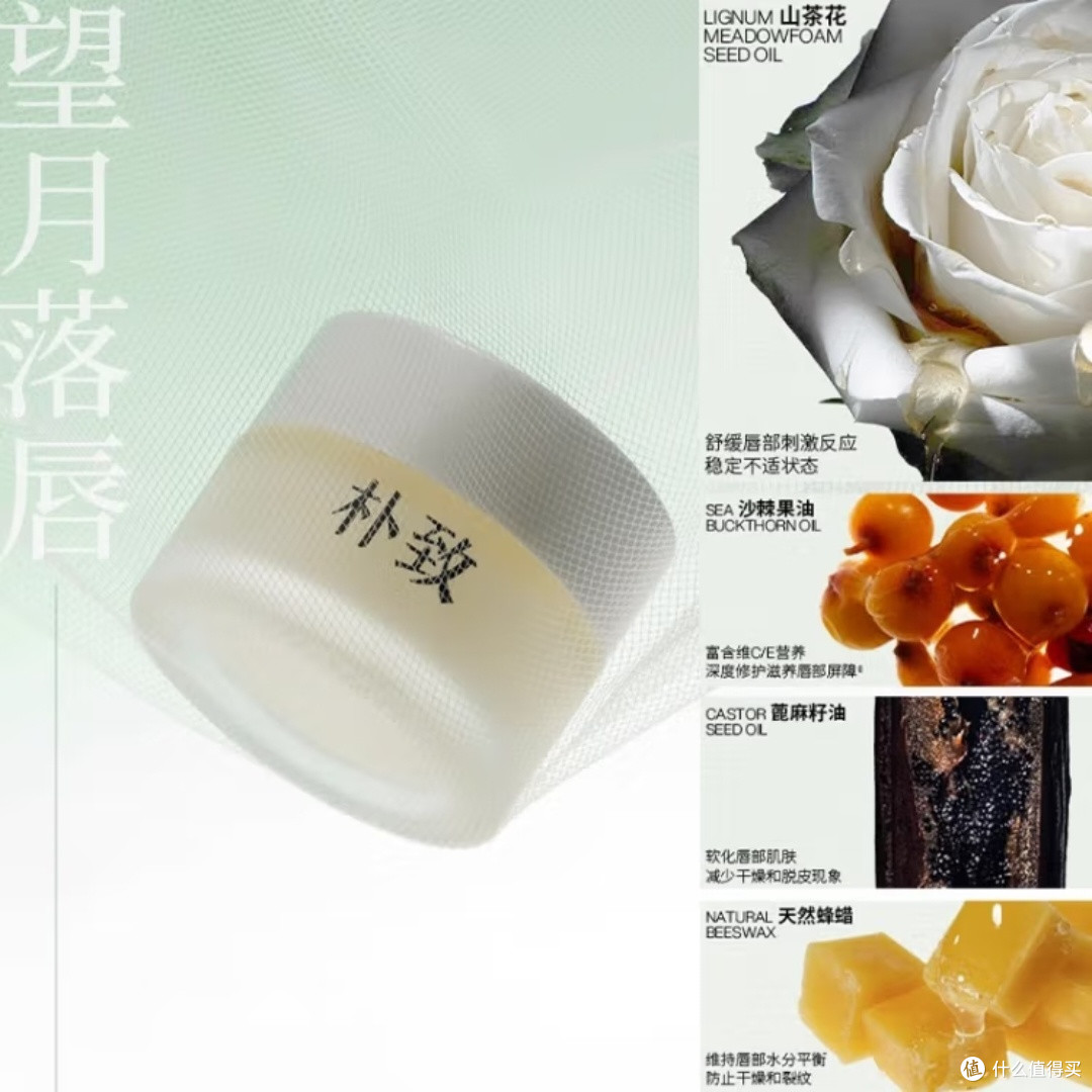 朴致唇部护唇精华套装全面评测