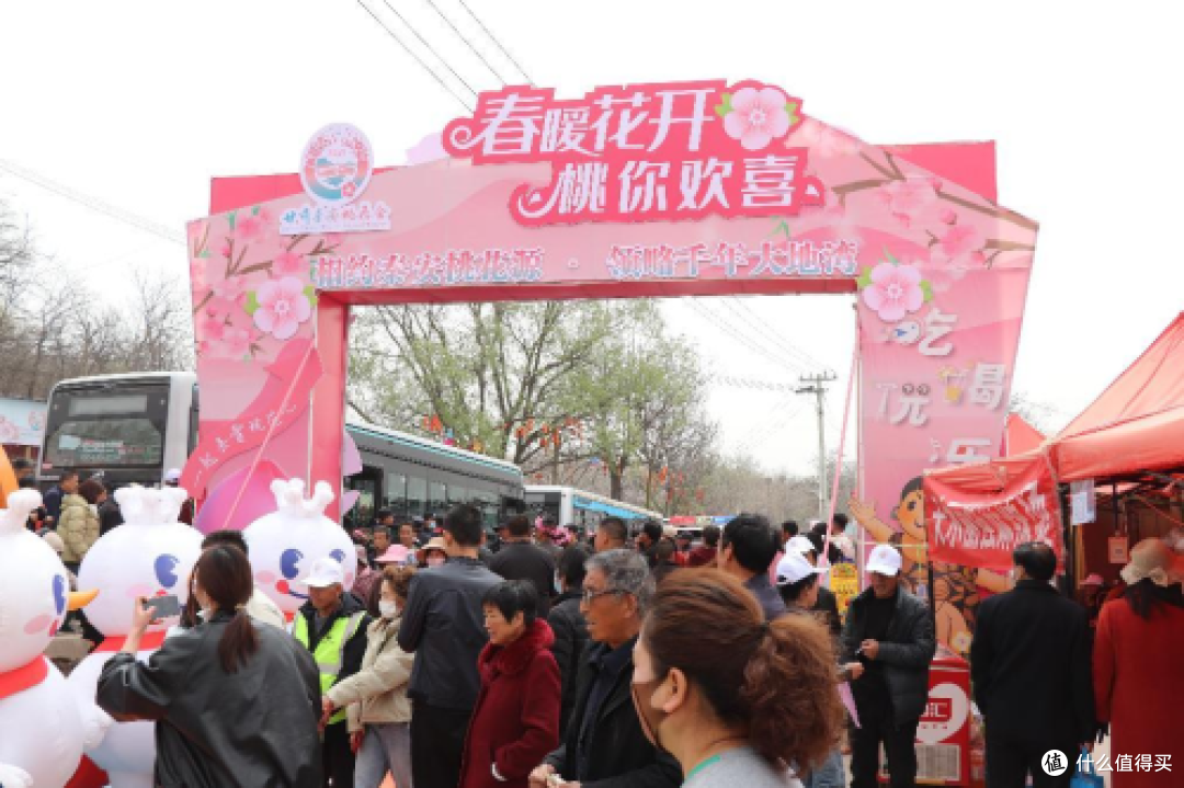 花海逐春潮!苏州金龙超200台海格客车护航秦安桃花节
