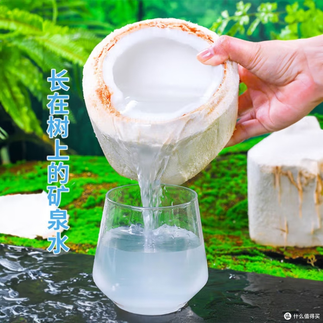 海南椰青9个装新鲜直发