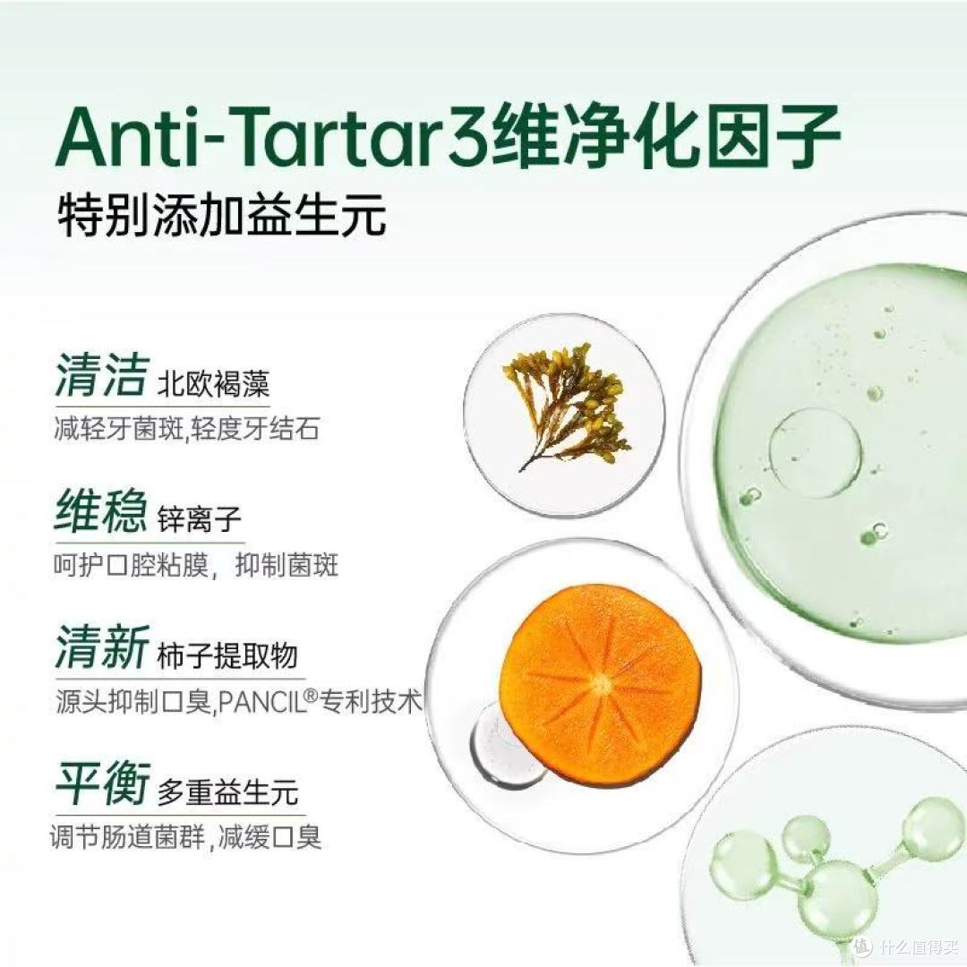 🐶小壳小白牙犬用益生元洁齿骨,狗狗口腔健康的救星!
