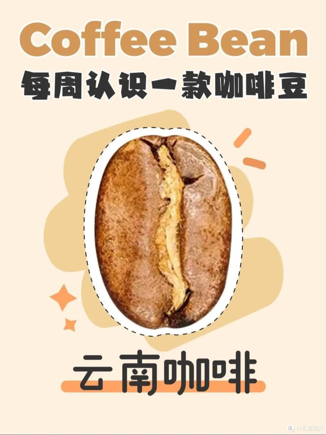 云南咖啡豆怎么样，品质卓越，风味独特