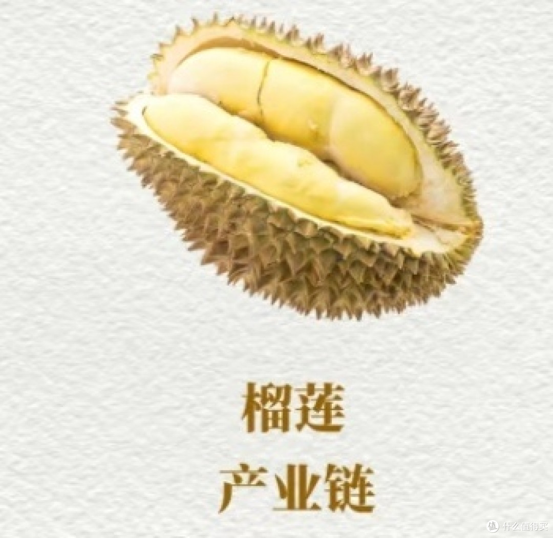 京东标准如何掀起榴莲行业的变革风暴