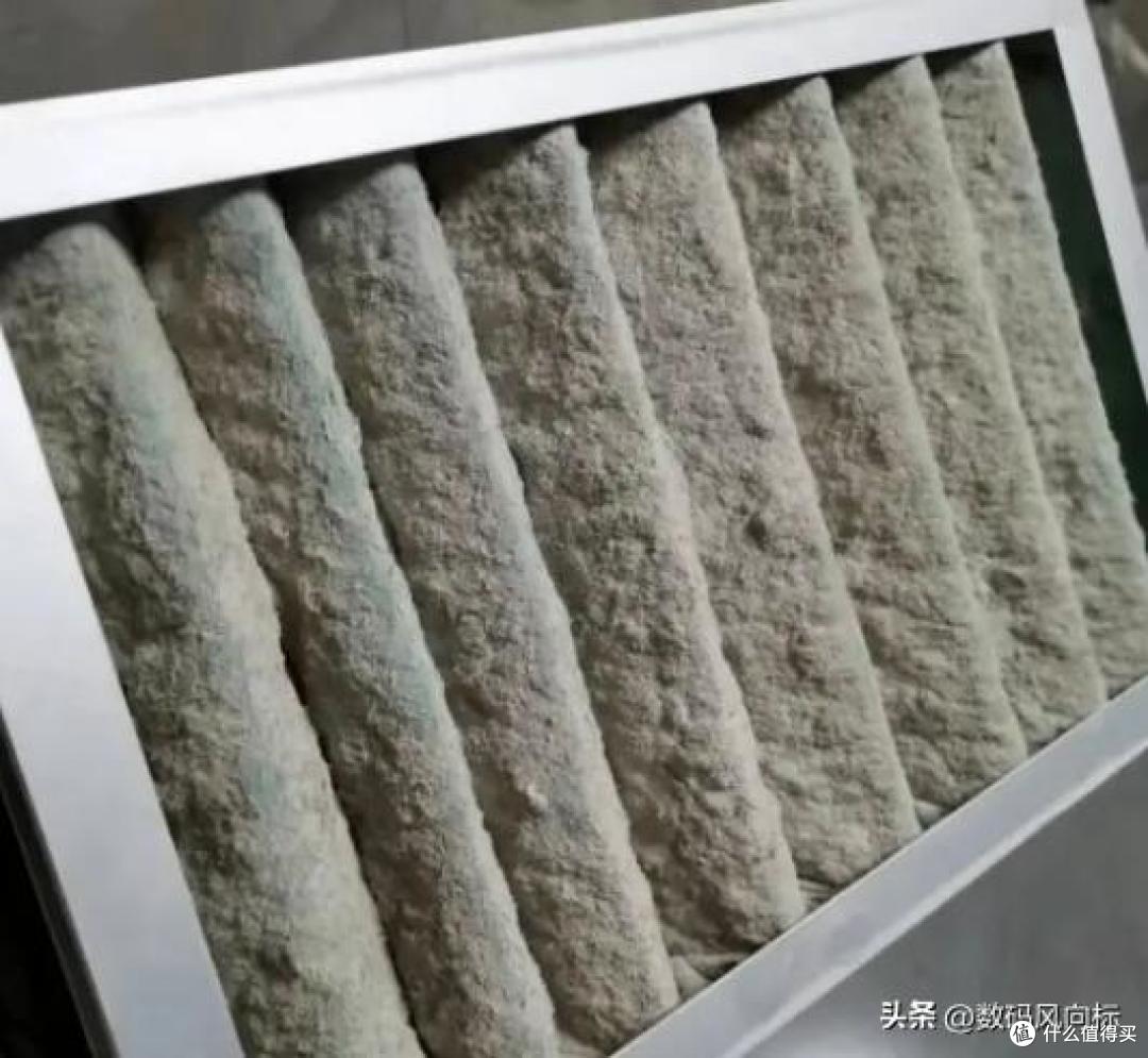 宠物净化器哪个牌子好？十大名牌分享，空气净化好帮手公布