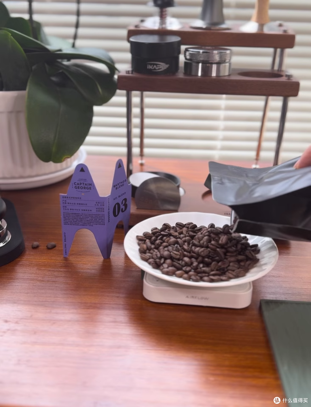 无限回购！疣猪拼配豆承包我的咖啡日常​