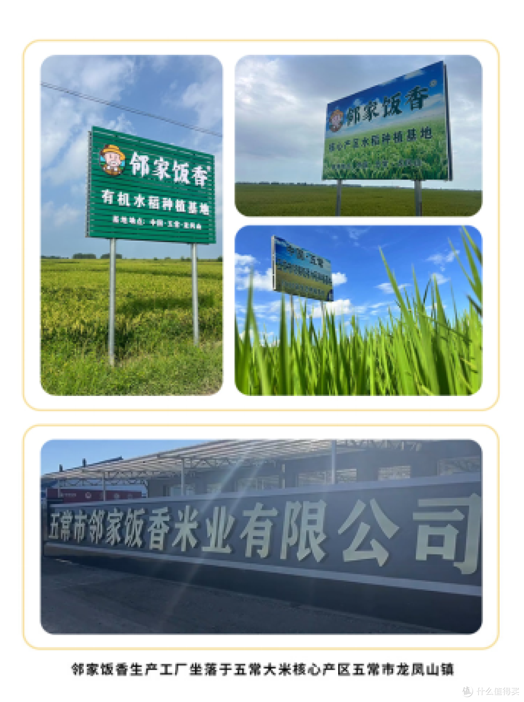 五常大米产量如何