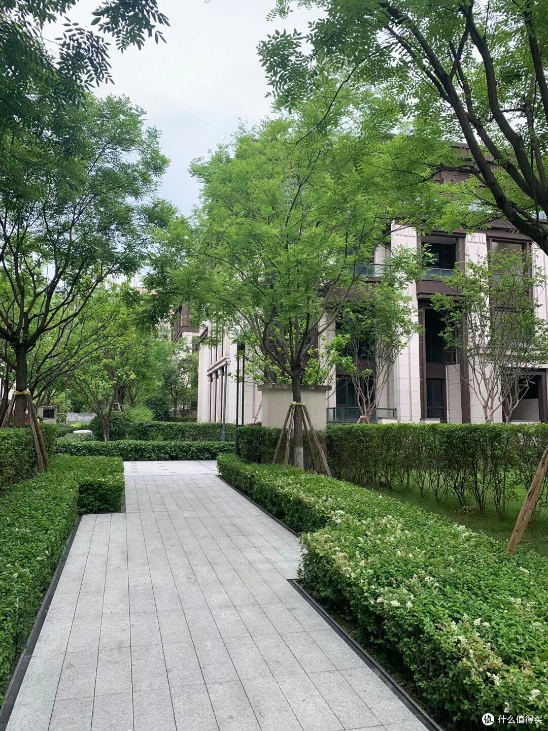 房子70年后归谁?国家明确回应,专家建议:房产证不要写夫妻名字