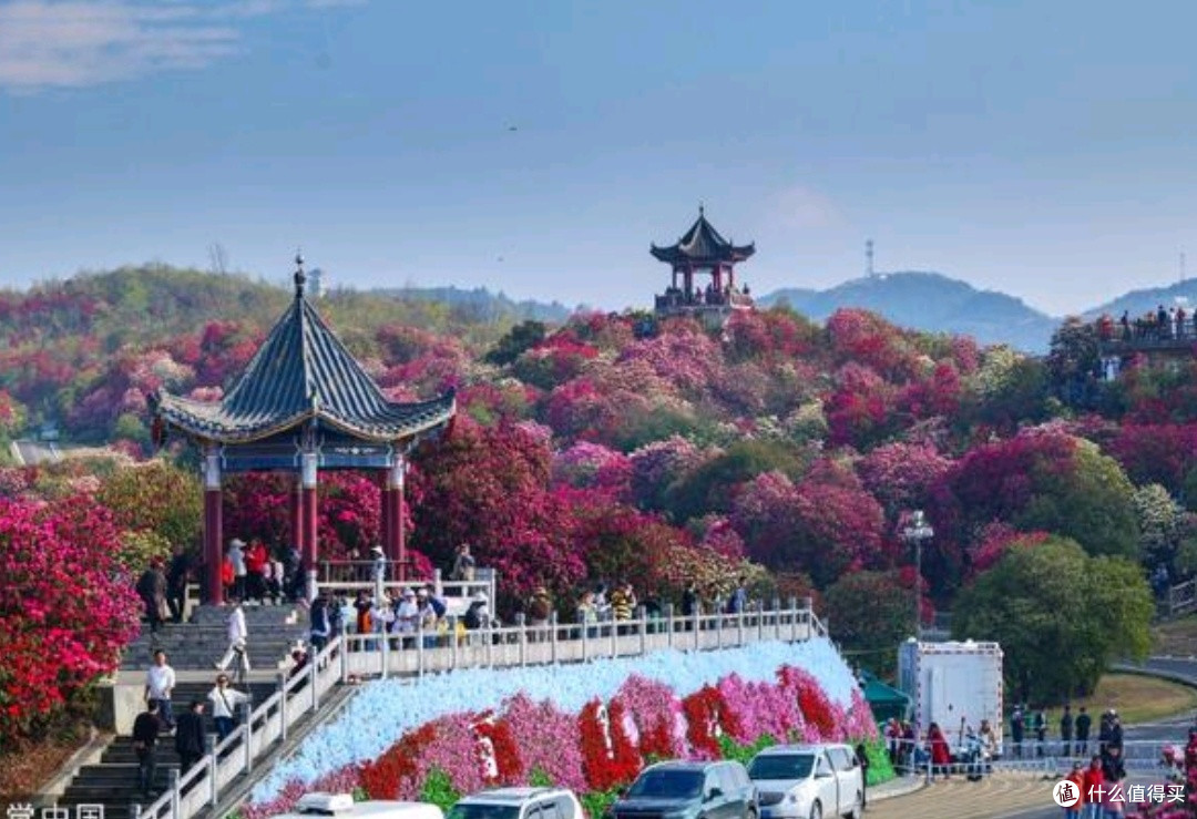 五一独行 | 赴一场一人花开的野性浪漫
