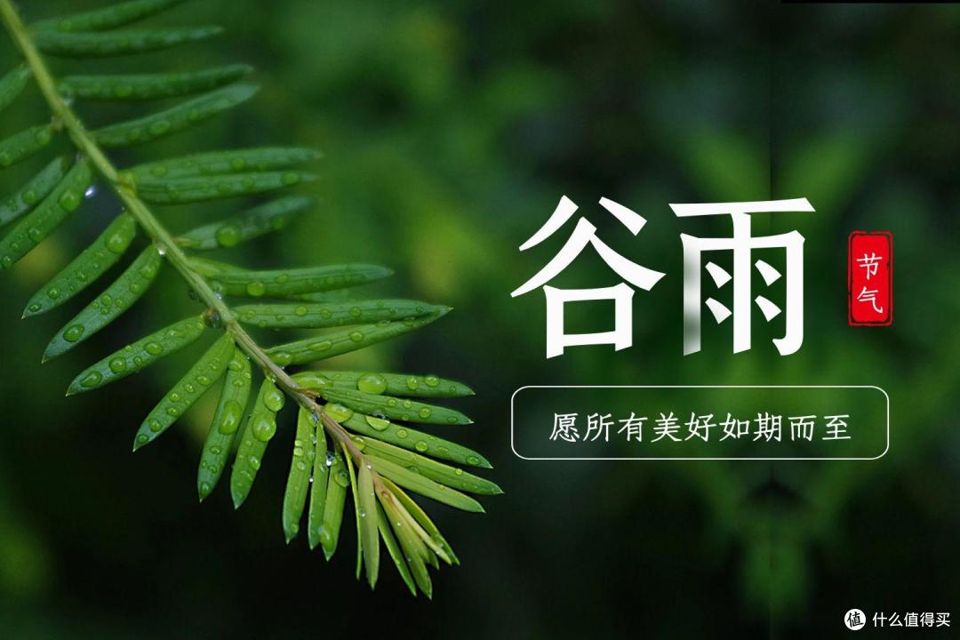 谷雨节气,提醒:喝1样茶,赏1样花,做1件事,老传统别丢了