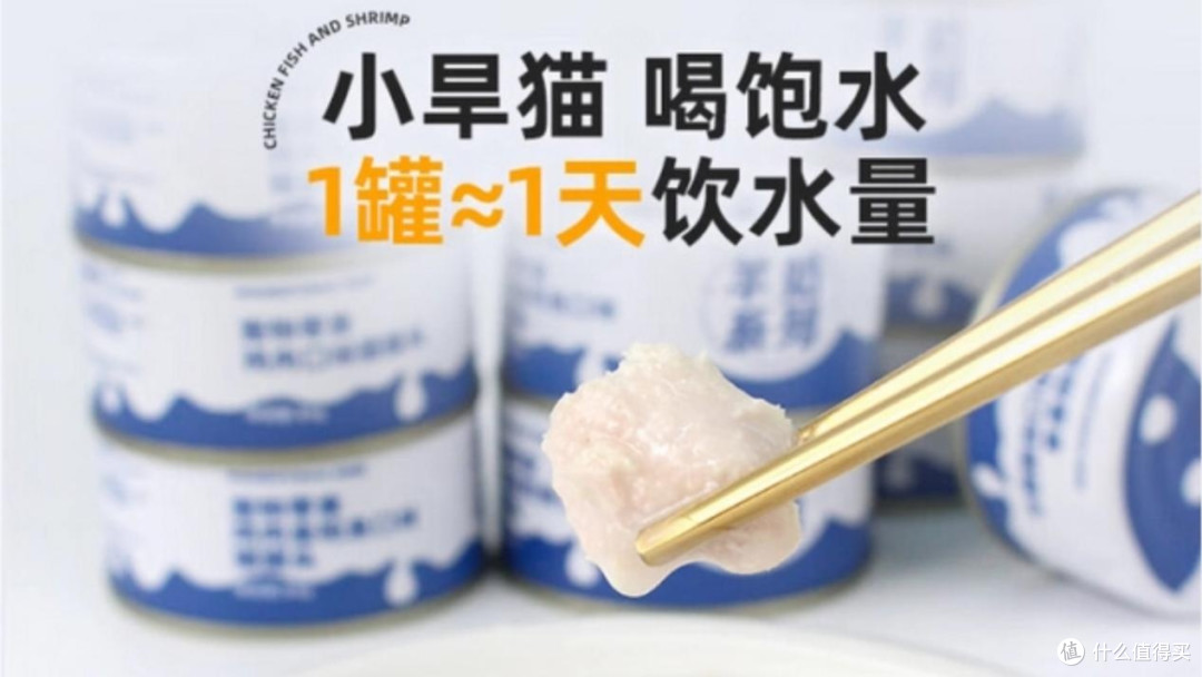 主食猫罐头哪种猫咪爱吃?高适口性主食猫罐头测评结果推荐