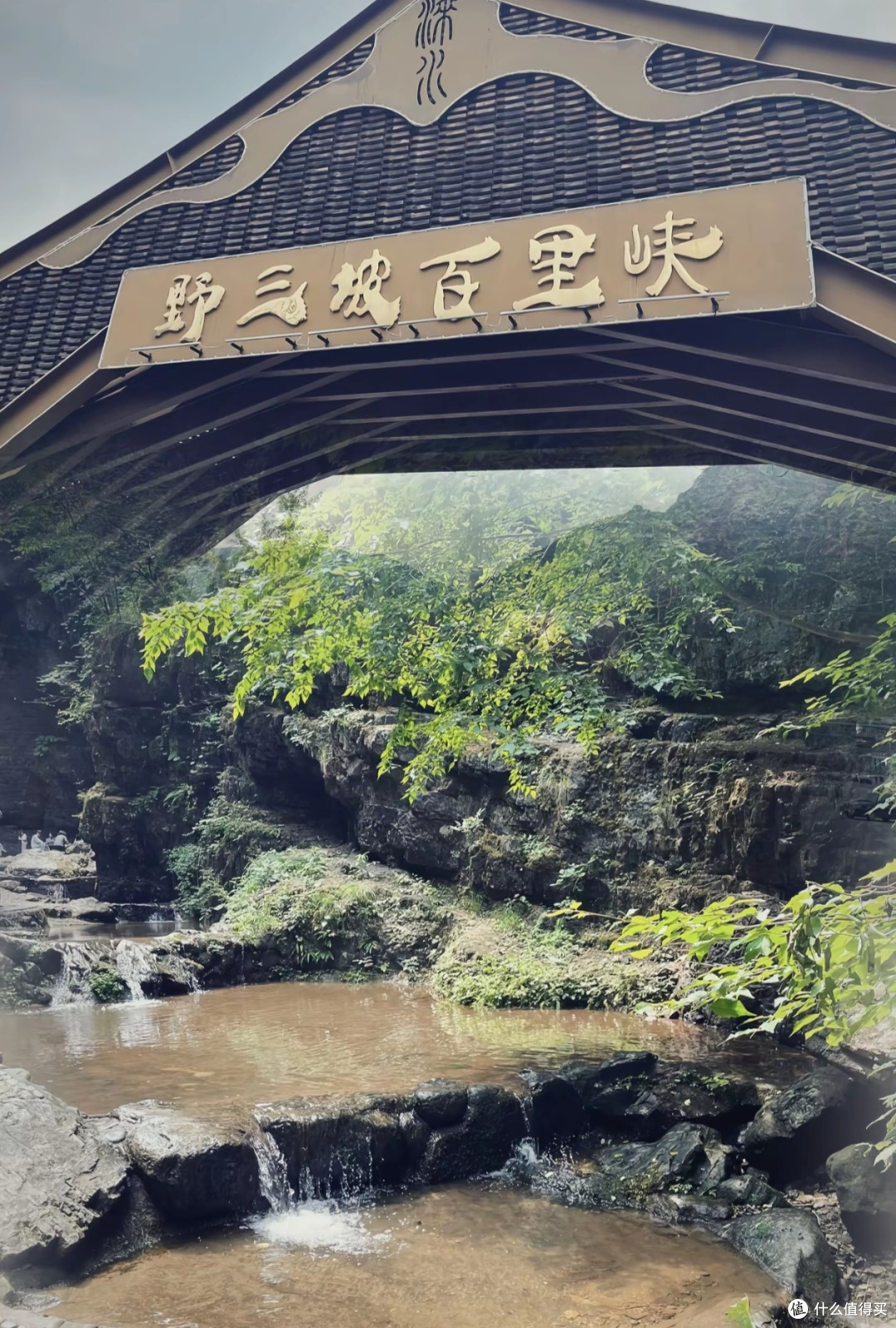 野山坡：自然与文化的瑰宝