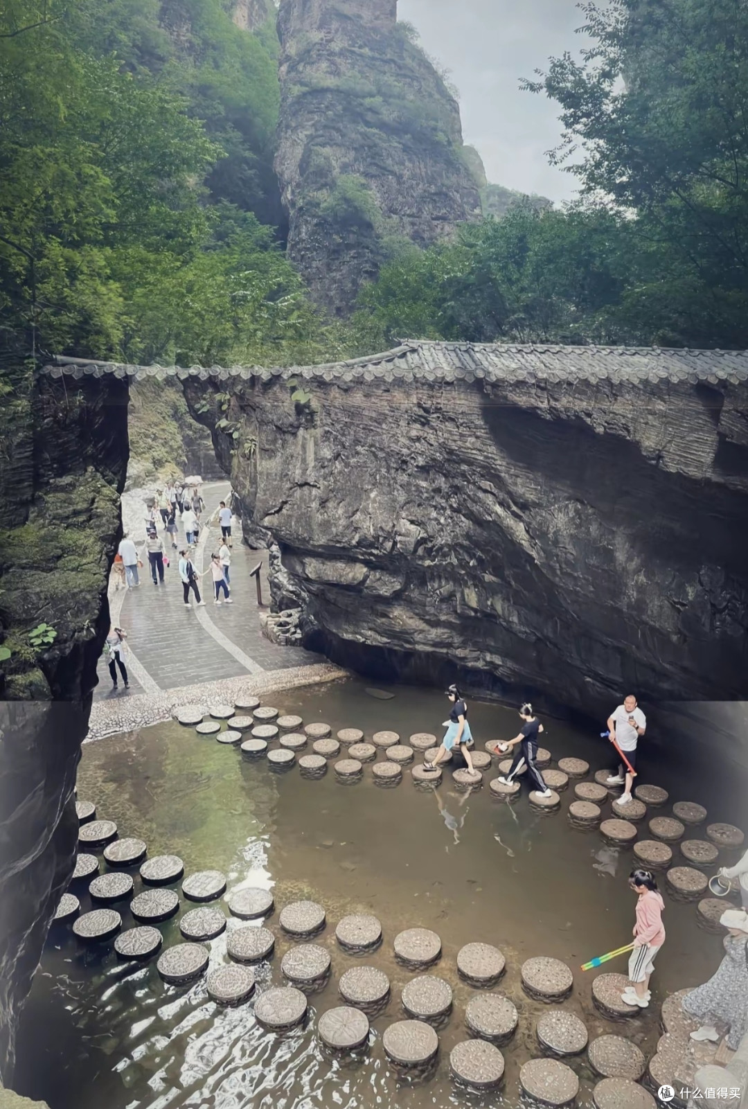 野山坡：自然与文化的瑰宝