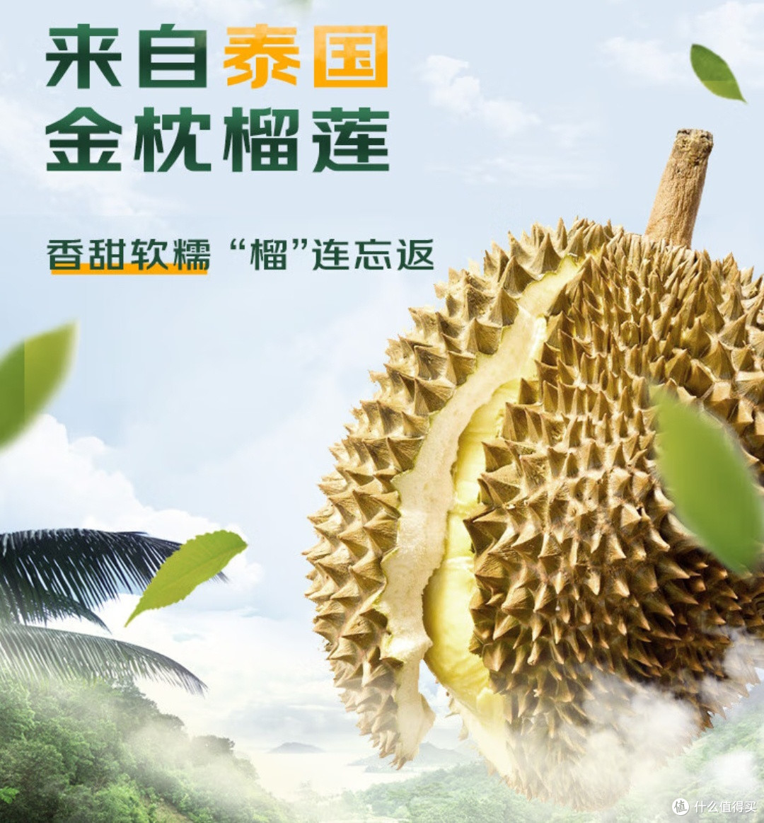 榴莲品质大揭秘:京东的新标准是否能成为行业标杆?