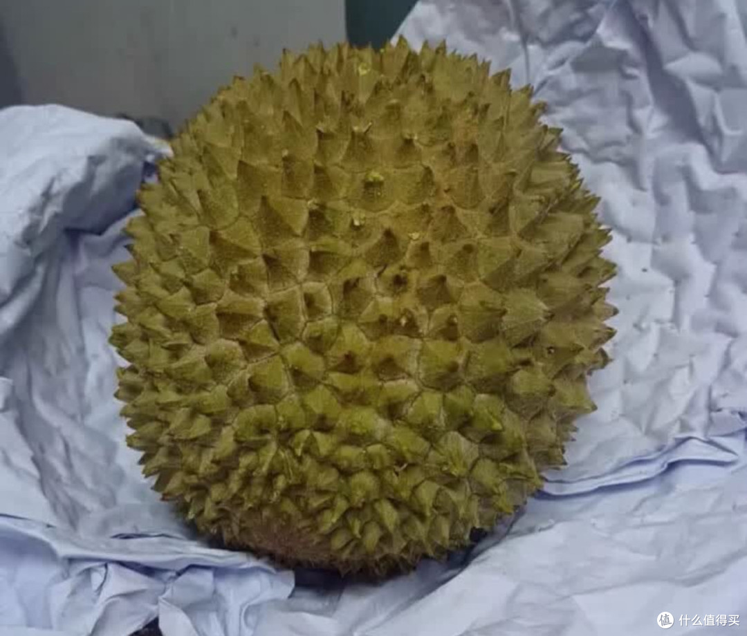 消费者认可的满分榴莲标准