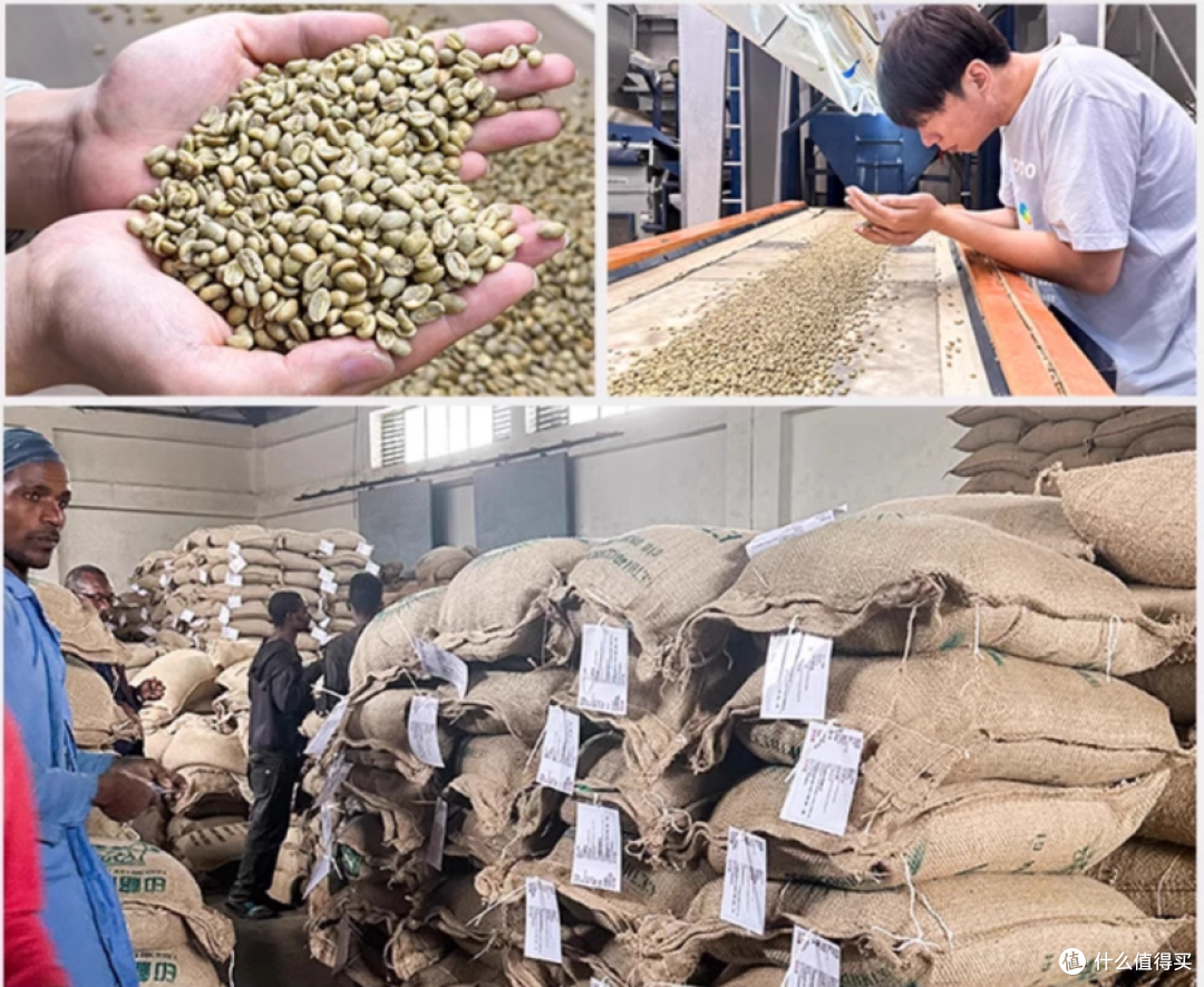 咖啡豆涨价对我们影响大吗?老玩家已经学会烘豆了