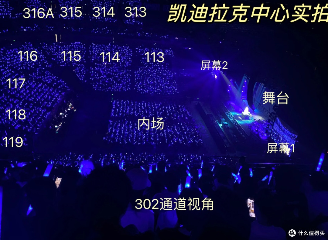 演唱会抢票选座全攻略,看这篇就够了!