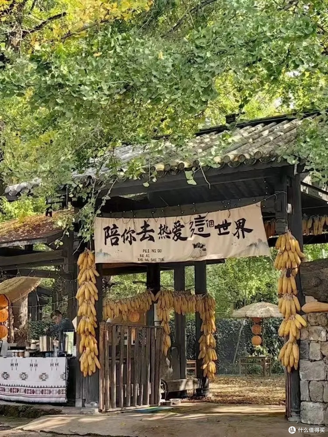 边陲小城|邂逅云南腾冲的诗与远方