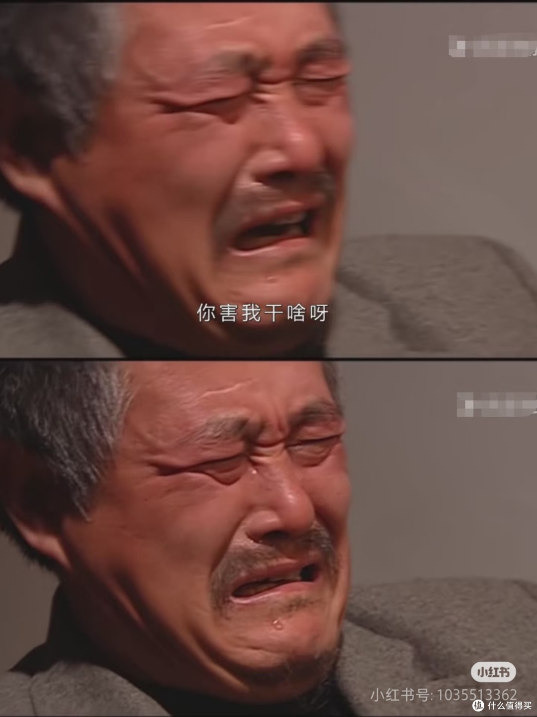 为什么辽宁男篮都选马大帅!