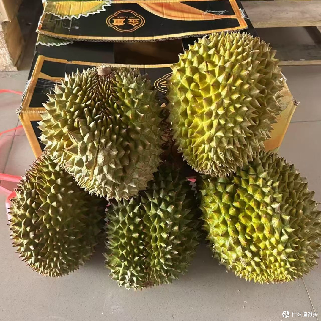 金枕榴莲和猫山王榴莲的口感有什么区别?