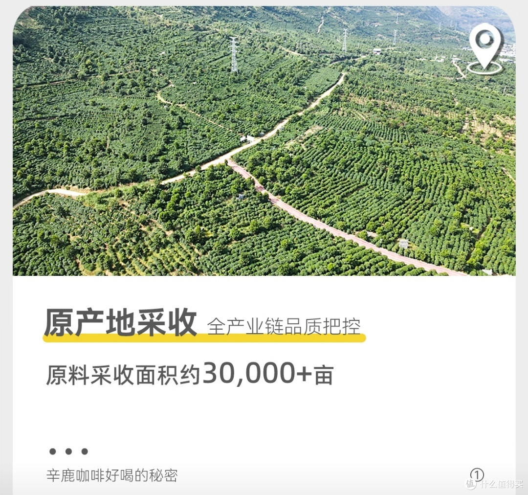 性价比拉满!辛鹿蓝山风味拼配咖啡豆