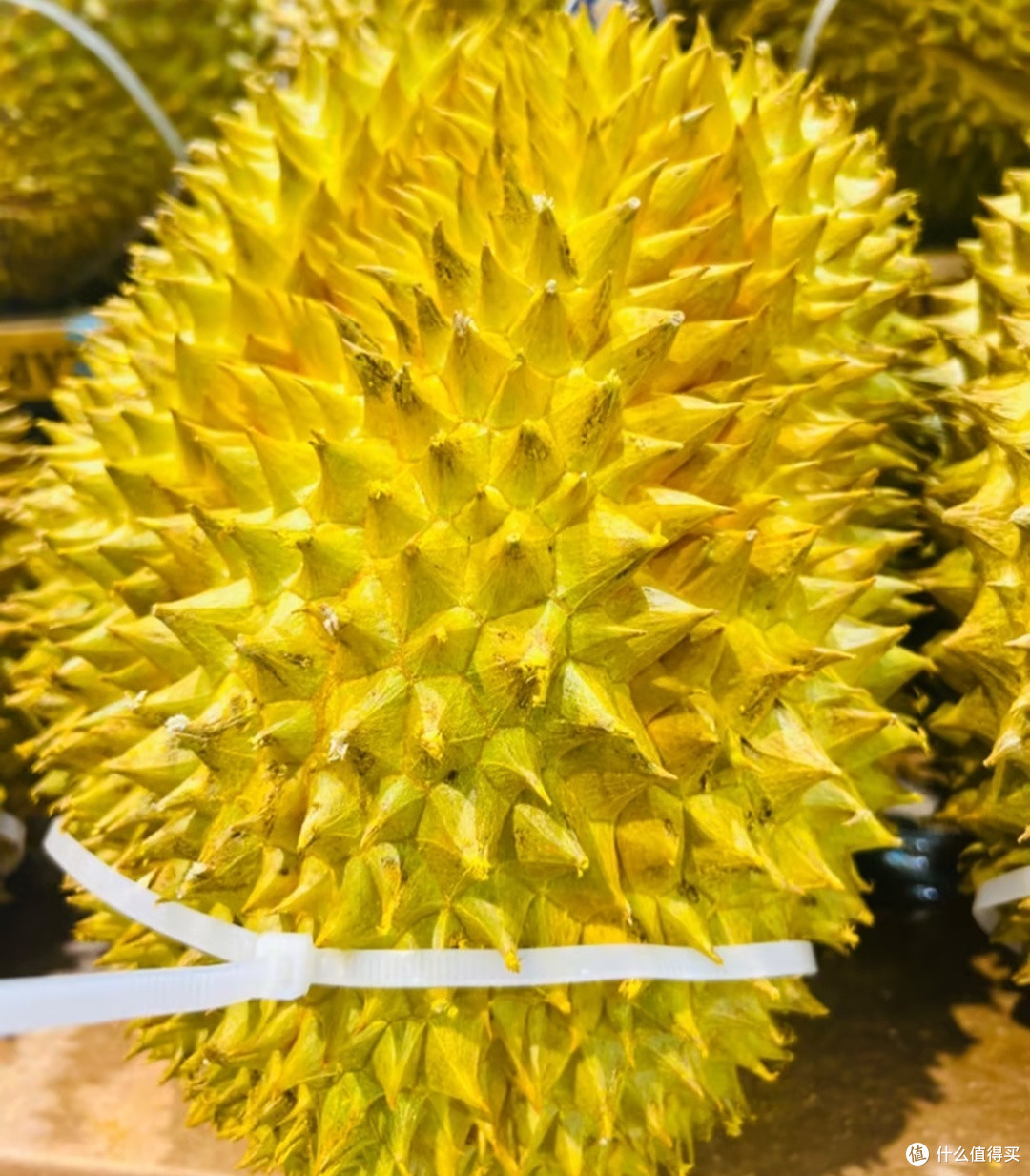 榴莲脑袋必看!京东满分标准挑榴莲秘籍
