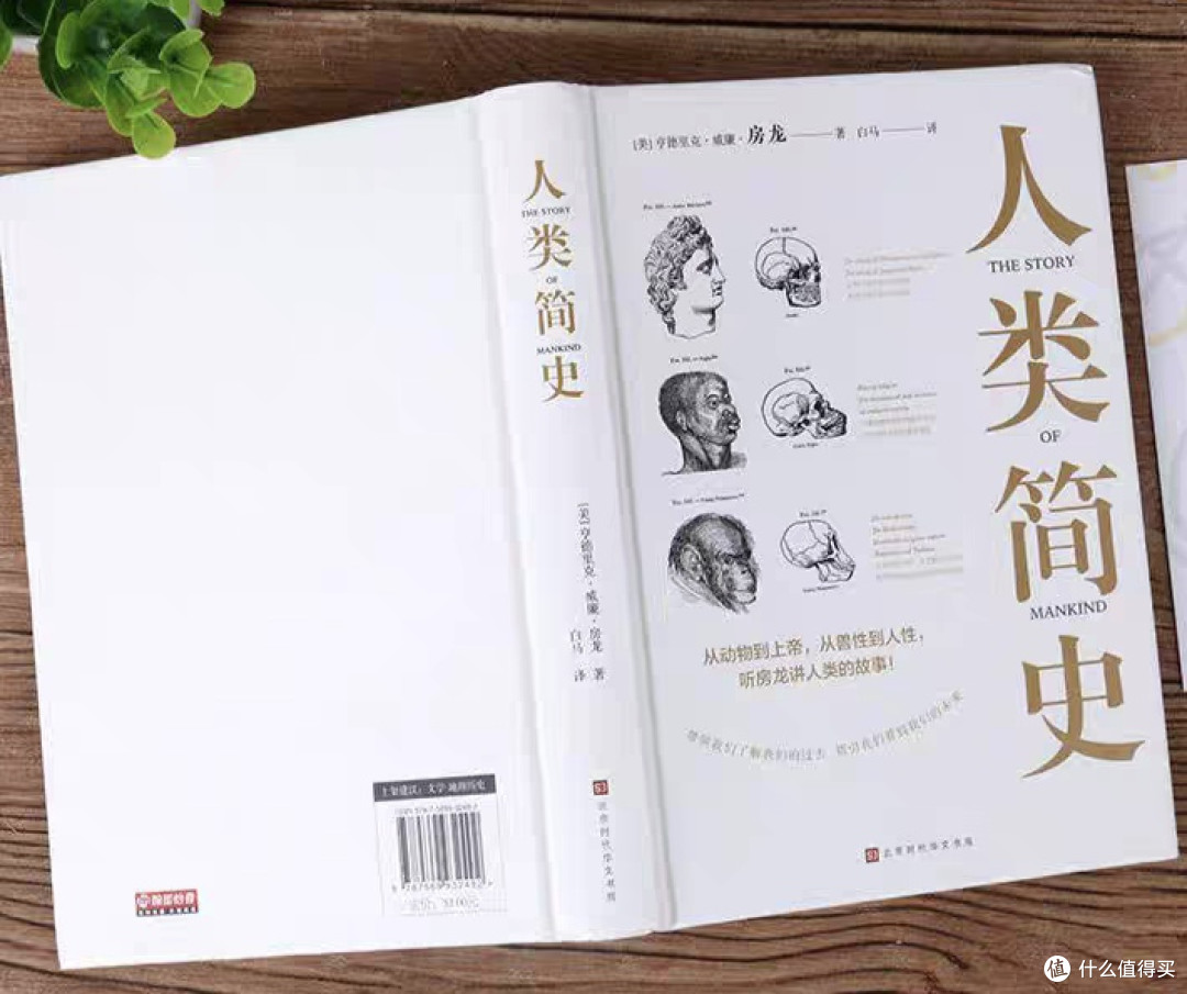 年度书单｜这几本书，曾让我在深夜辗转难眠