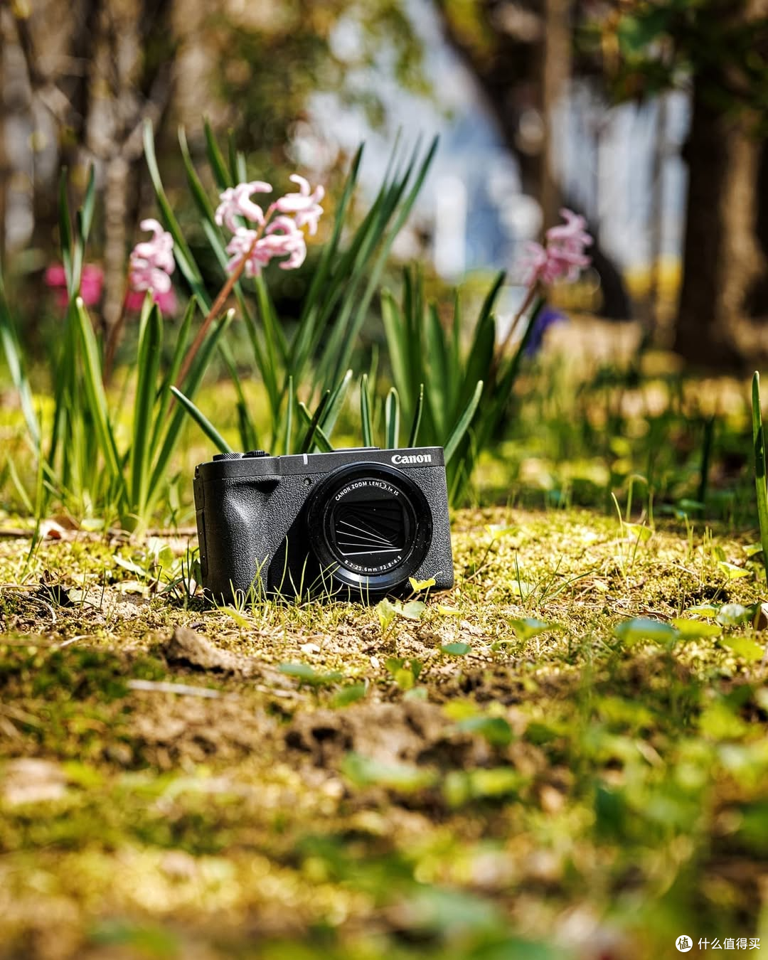 佳能新品Powershot V1 vs R50V:相机界的“大小内战”怎么选?