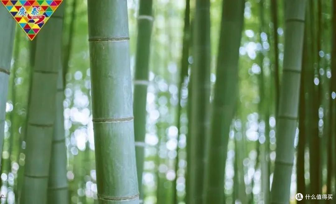 烟花故事会 | 庆泰花炮第一系列:共鸣