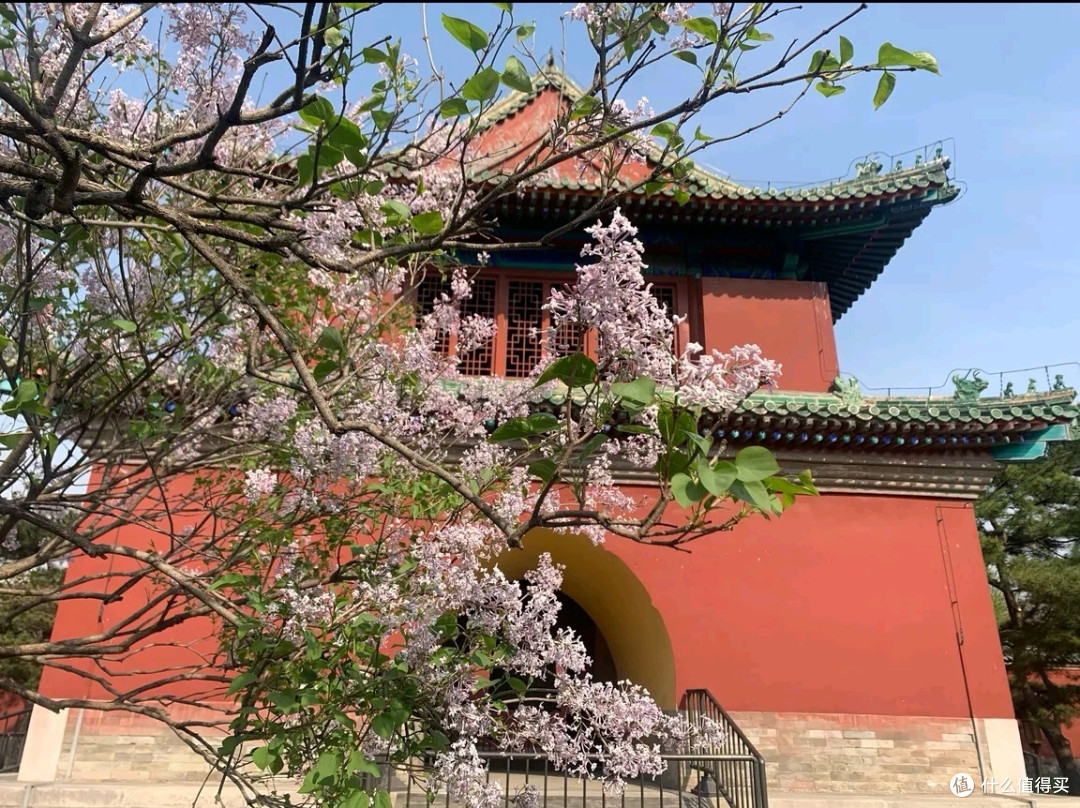 天坛公园五一秘境指南:解锁皇家祭坛的10重时空密码