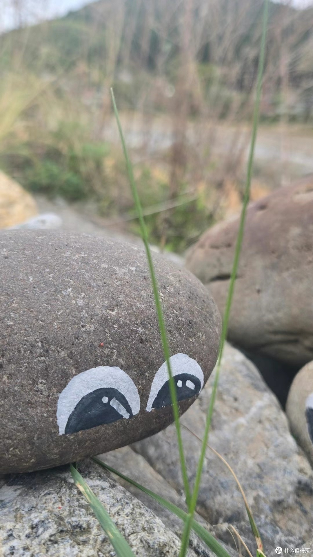 一人一个五一旅行地打卡推荐,河滩无商业景观可去一观