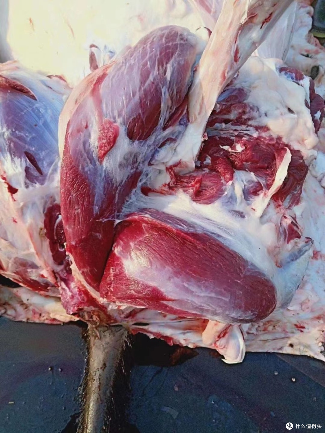 买驴肉时,如何区分是驴肉还是马肉?牢记3个小妙招,轻松辨别!