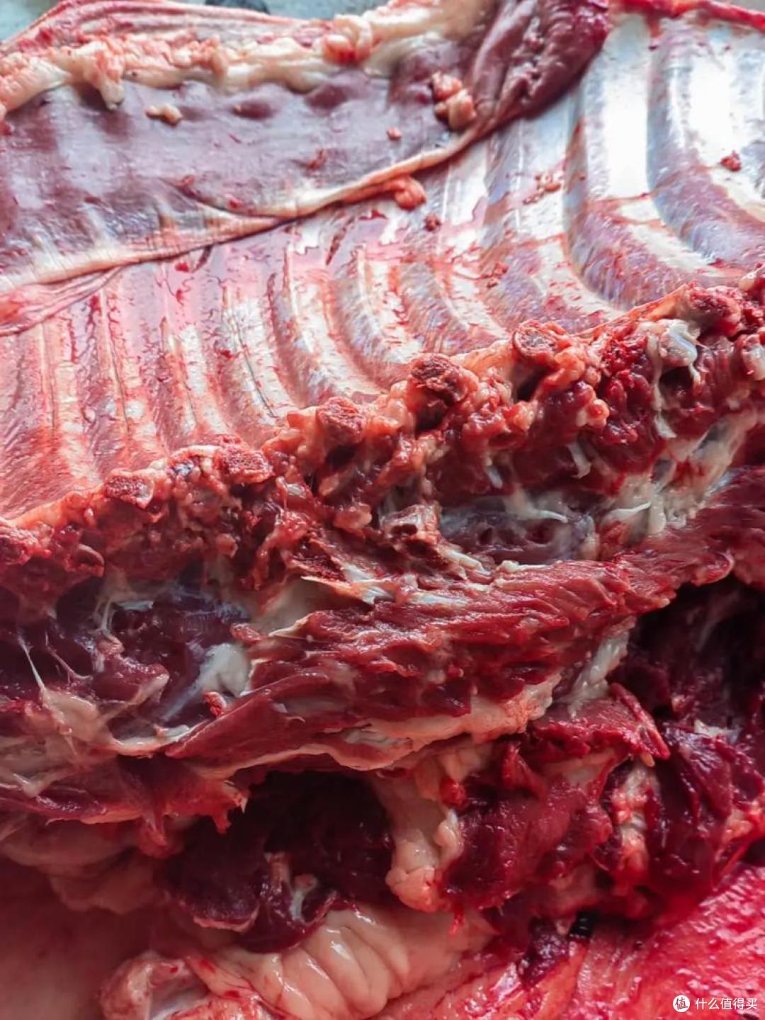 买驴肉时,如何区分是驴肉还是马肉?牢记3个小妙招,轻松辨别!