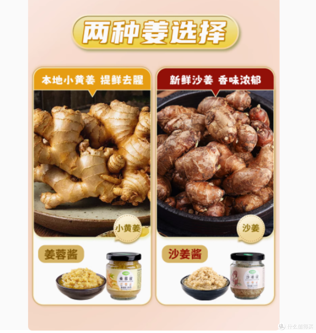 一口广式风情:珍星鲜沙姜酱,白切鸡的灵魂伴侣