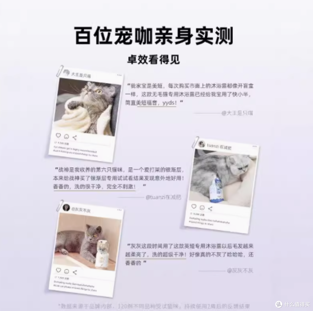 喵星人清洁必备!神经猫沐浴露实力出圈