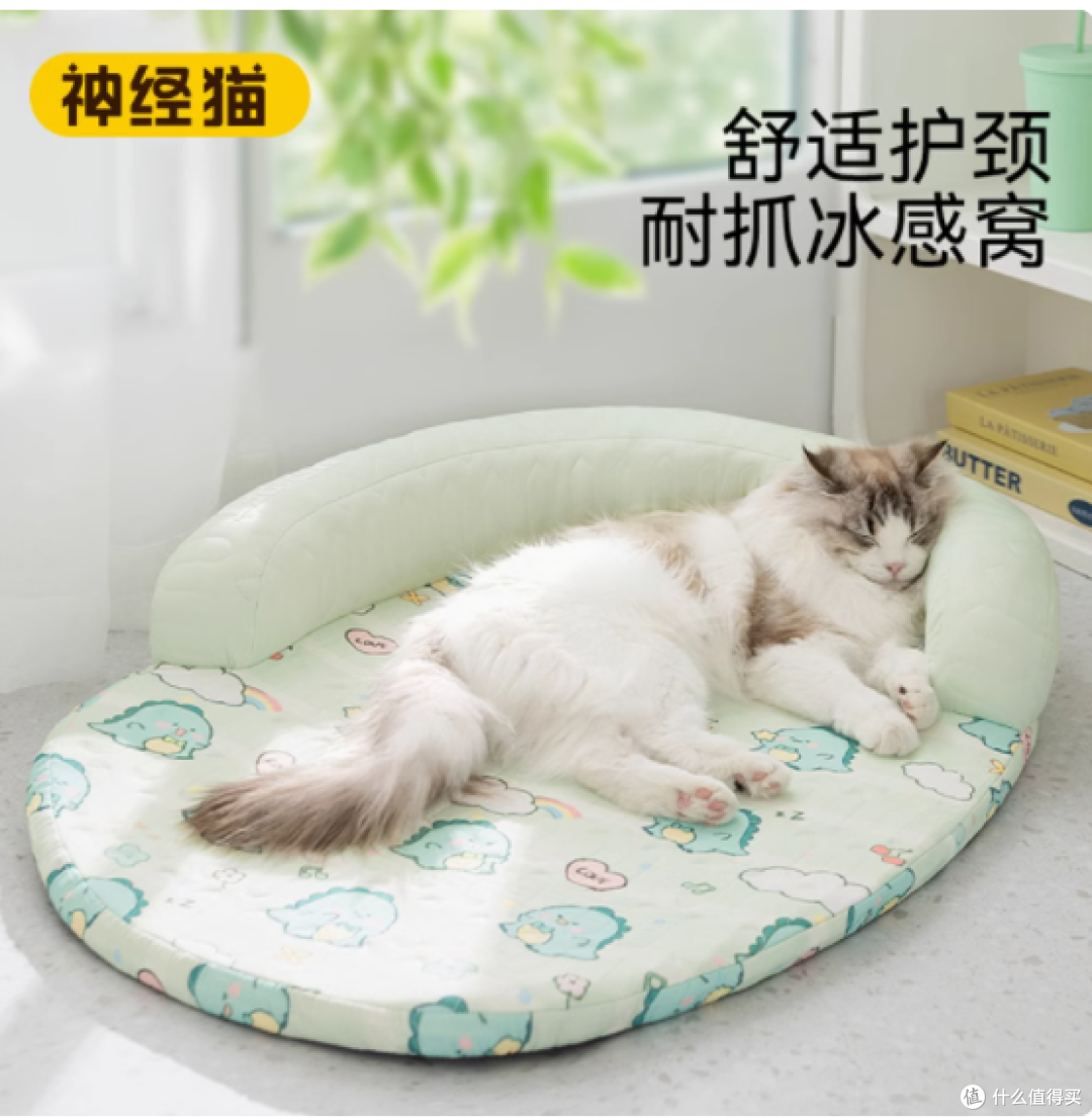 喵星人的夏日清凉秘密基地 —— 神经猫旗舰店猫窝大揭秘