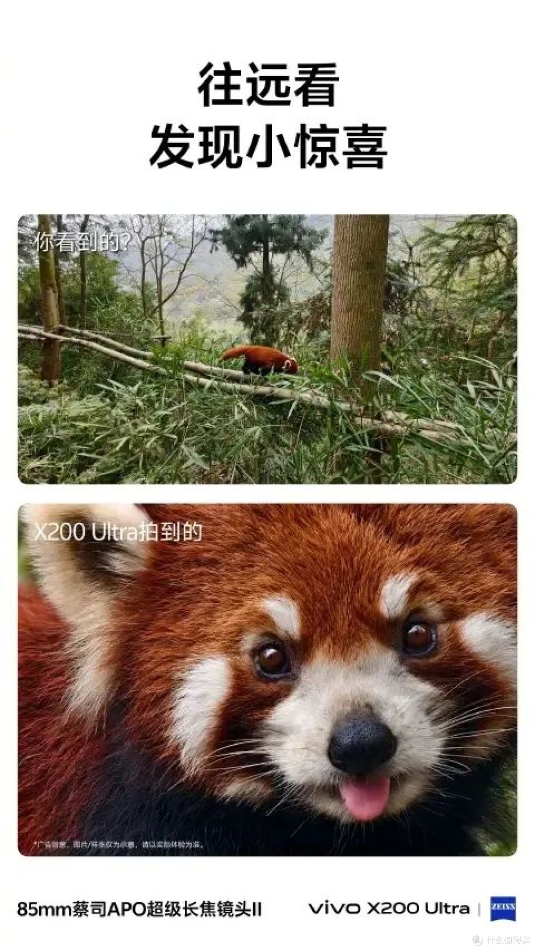 vivo X200 Ultra即将发布,影像成为了最大亮点,价格或将有惊喜