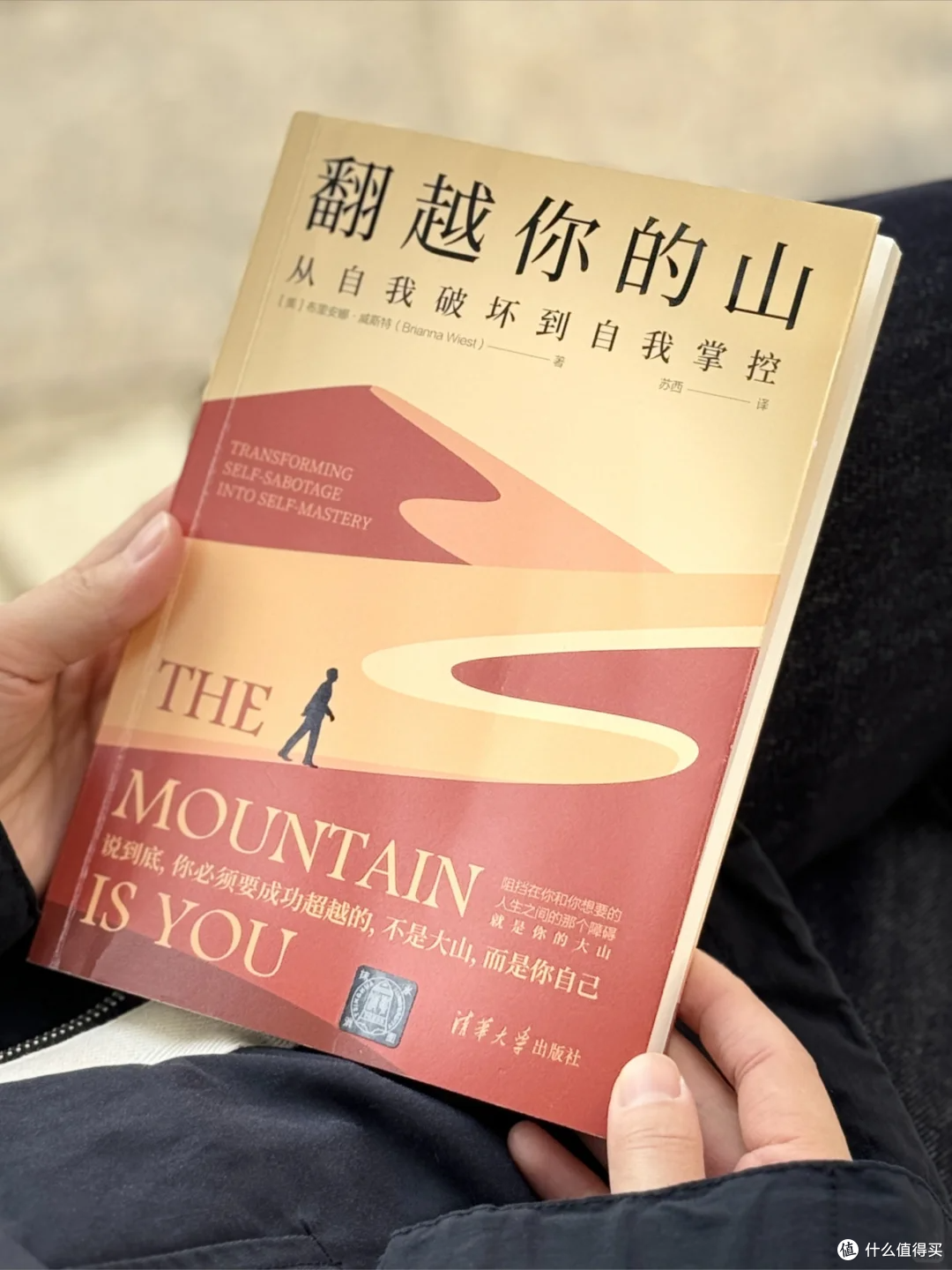 豆瓣高分8.5｜困住你的从来不是山，而是心中的迷雾_文学诗歌_什么值得买