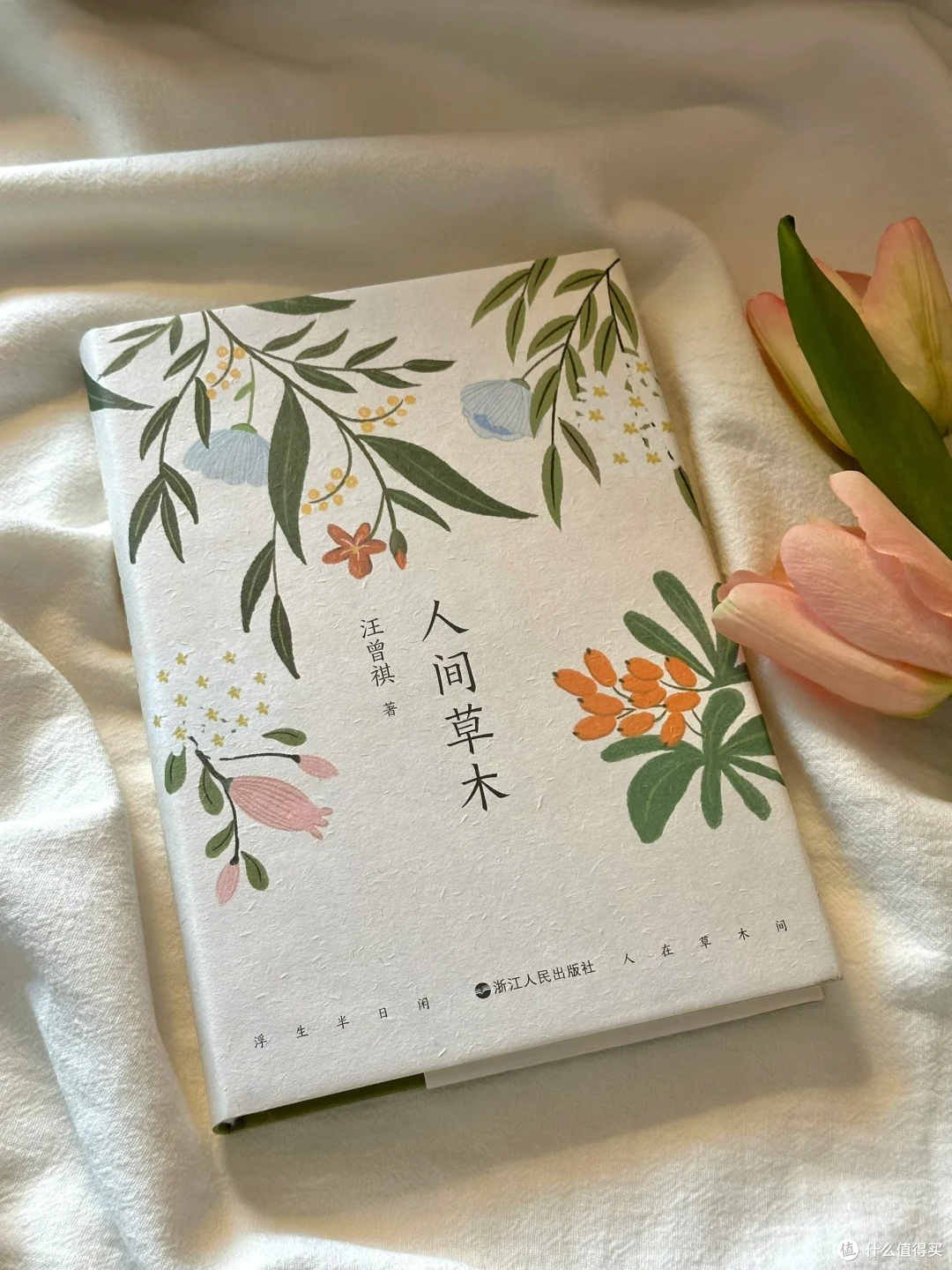在烟火里拾掇诗意的星光，人间草木！