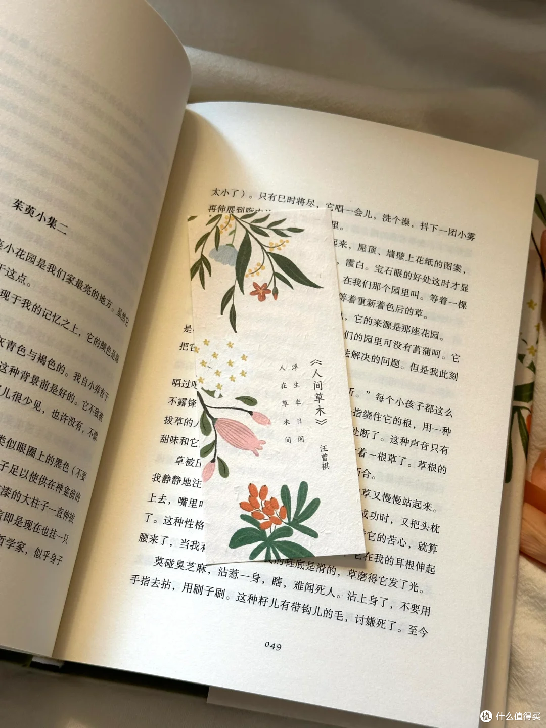 在烟火里拾掇诗意的星光，人间草木！
