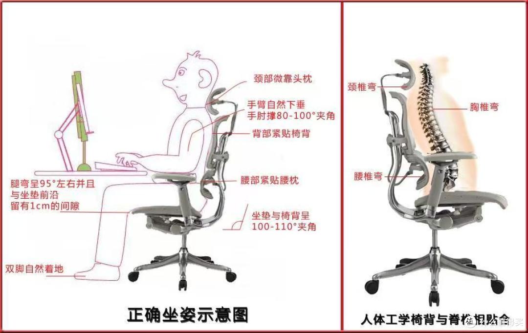 人体工学电脑椅办公椅如何选?以造梦家ZMJ-ER-005人体工学椅为例