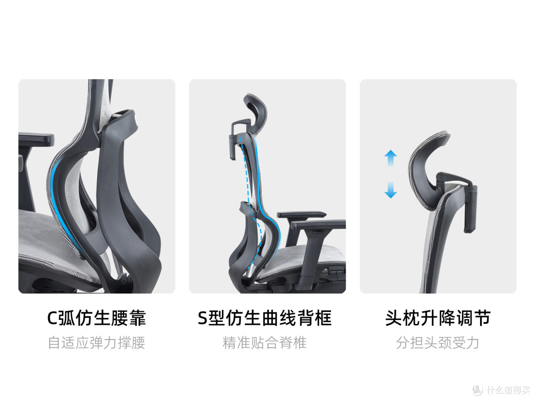 人体工学电脑椅办公椅如何选?以造梦家ZMJ-ER-005人体工学椅为例