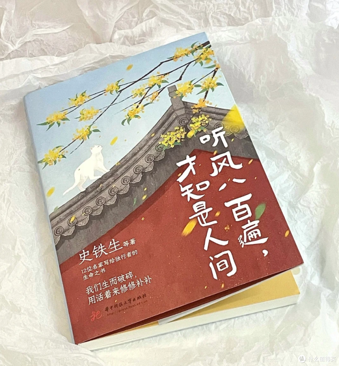 在文字里拾得秋日的温柔交响，《听风八百遍，才知是人间》