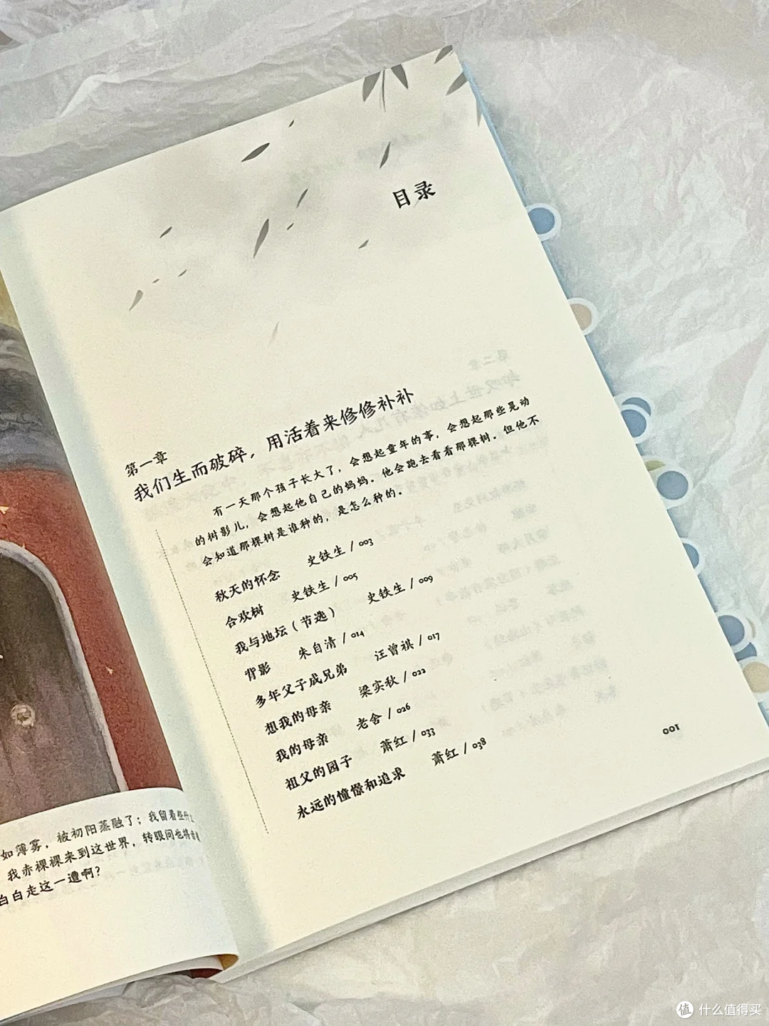 在文字里拾得秋日的温柔交响，《听风八百遍，才知是人间》