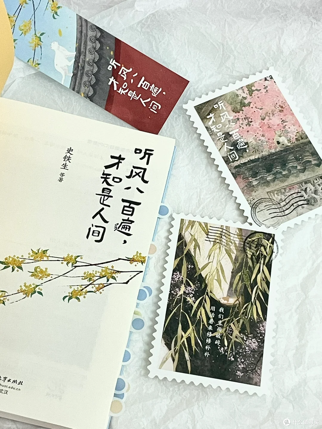 在文字里拾得秋日的温柔交响，《听风八百遍，才知是人间》
