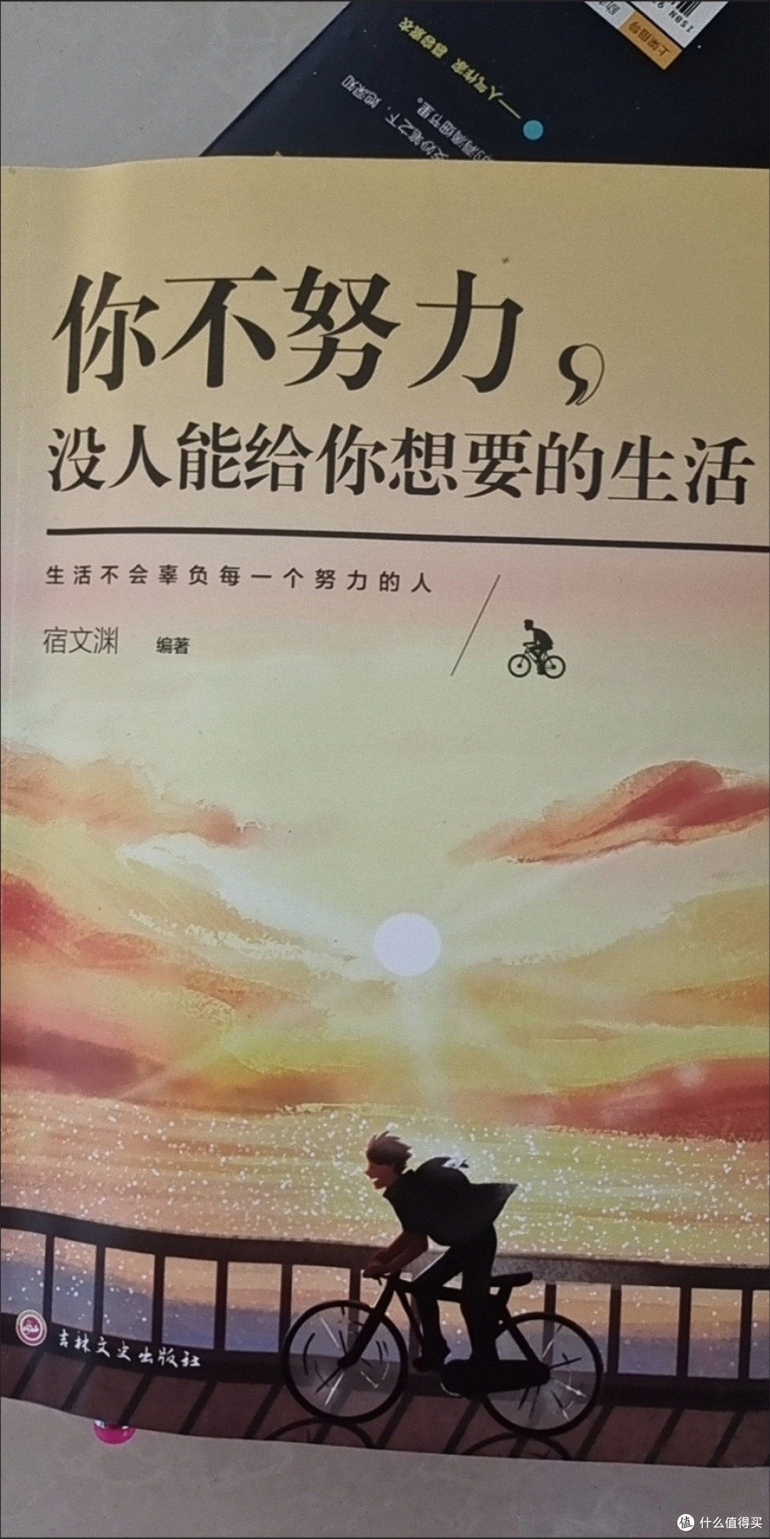 读《你不努力， 没人能给你想要的生活》有感：努力是生活的底色_生活教育_什么值得买