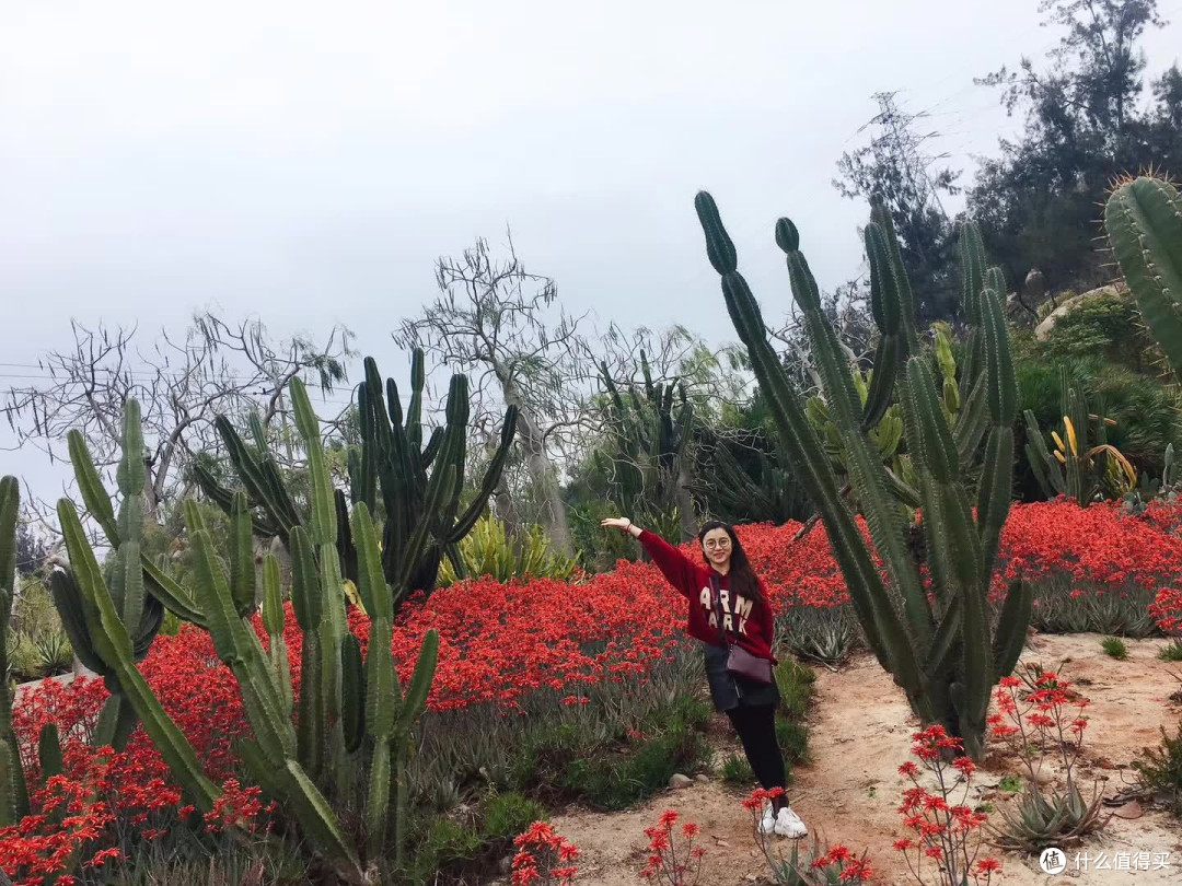 厦门鼓浪屿你觉得值得一去吗