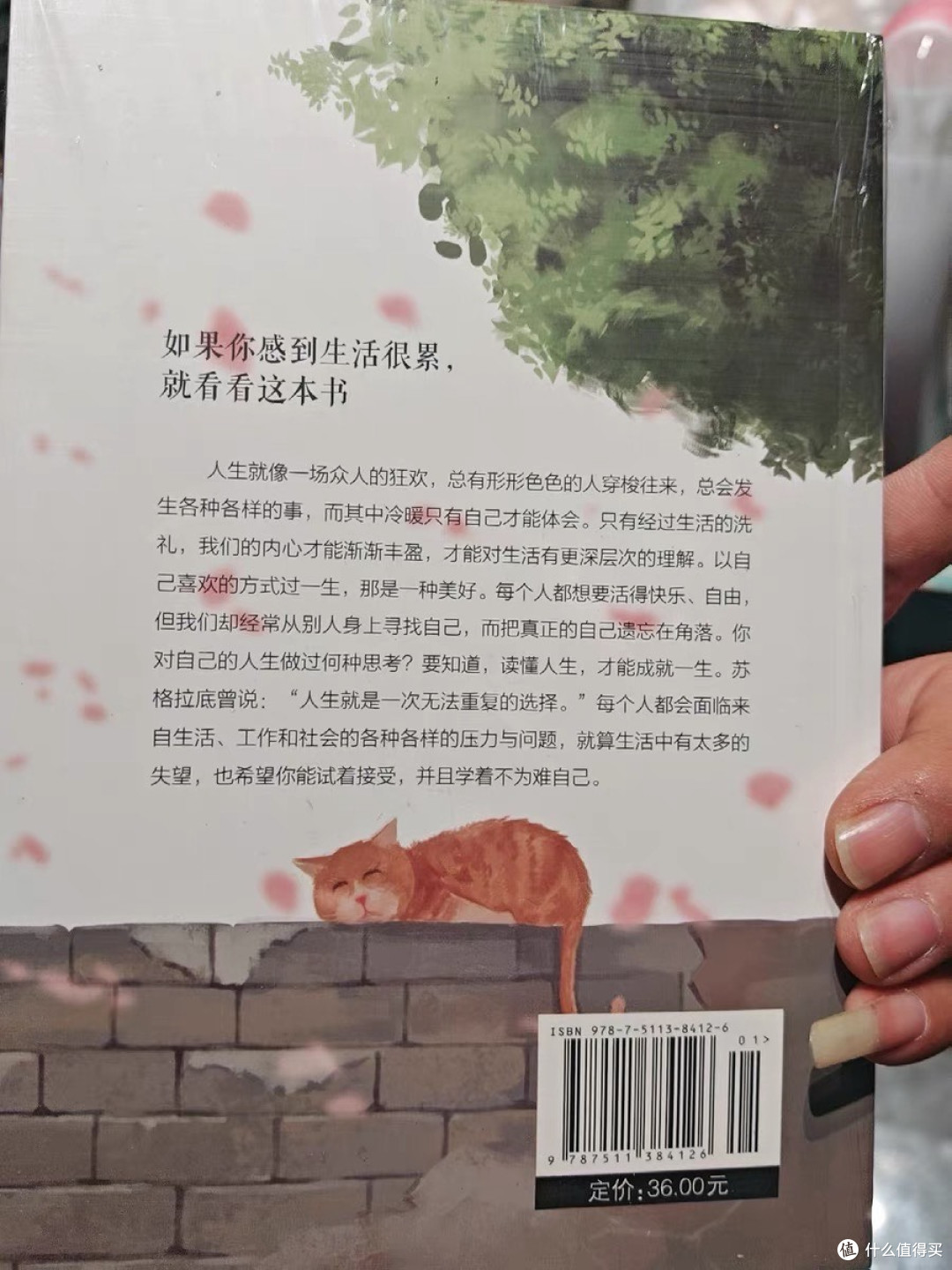 以自己喜欢的方式过一生