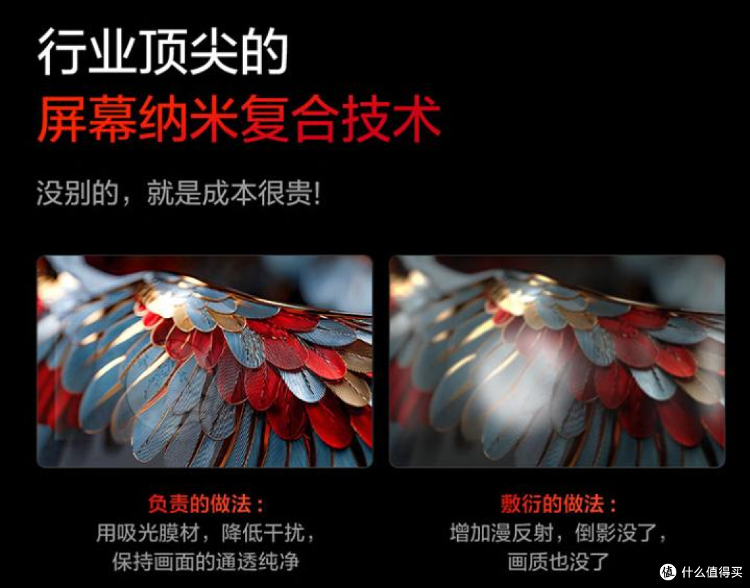 全网直播评测雷鸟鹤7 Pro 25款,115英寸电视首发打破行业底价
