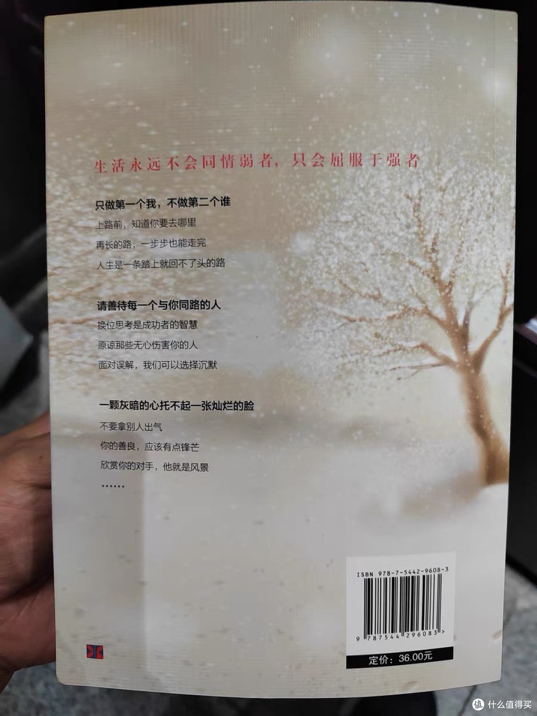 每一步都是成长的积累
