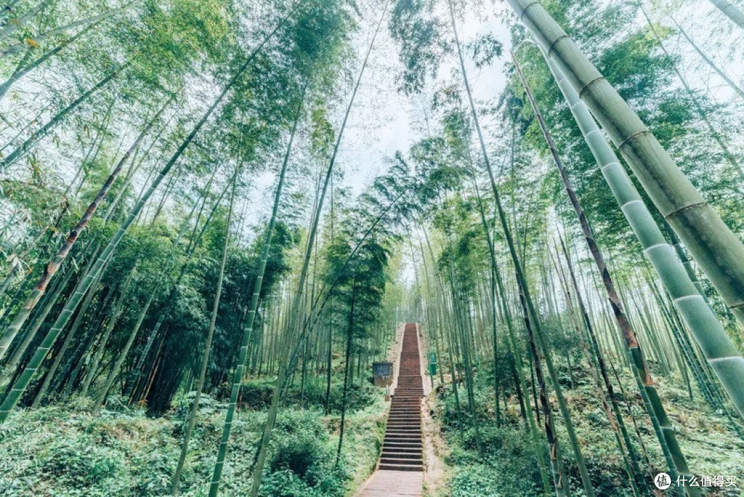 赤水丹霞：瀑布与古镇的完美结合