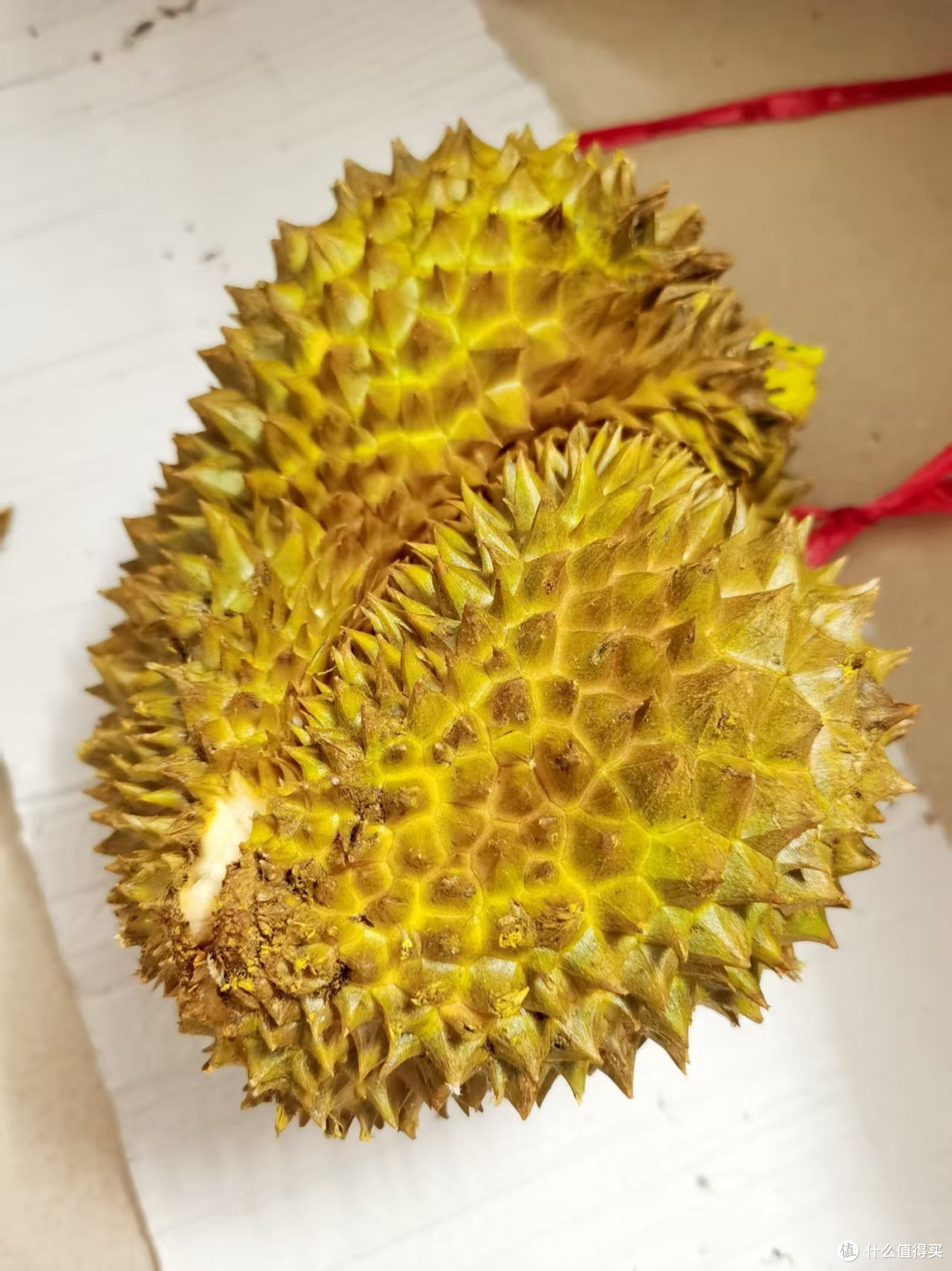榴莲季来临,美味正当时